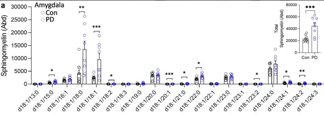 LC-MS profiles showing multiple sphingomyelin species increased in the Parkinson’s disease amygdala, with total sphingomyelin elevated and correlating with disease duration.